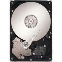 Seagate 1TB SATA HDD (ST1000DM003)